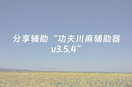 玩家必备教程“微信麻将软挂神器（专用辅牌神器免安装）