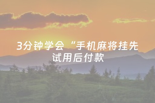 3分钟学会“手机麻将挂先试用后付款（专用辅牌神器免安装）