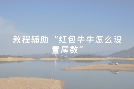 教程辅助“红包牛牛怎么设置尾数”（详细透视教程）-哔哩哔哩
