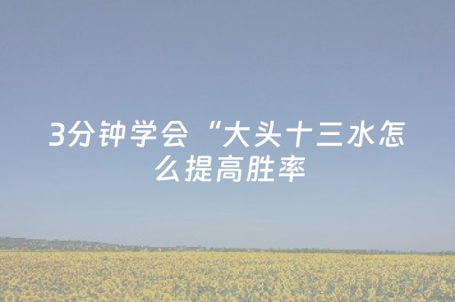 3分钟学会“大头十三水怎么提高胜率（专用辅牌神器免安装）