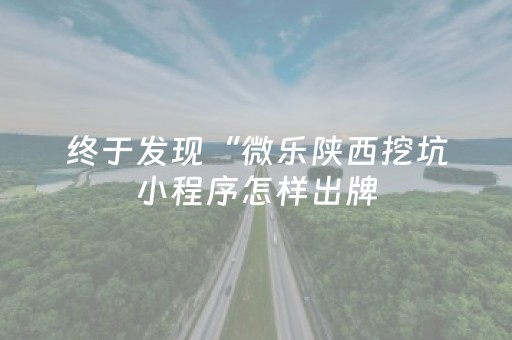 终于发现“微乐陕西挖坑小程序怎样出牌（专用辅牌神器免安装）