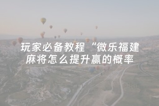 玩家必备教程“微乐福建麻将怎么提升赢的概率（助赢神器通用版）