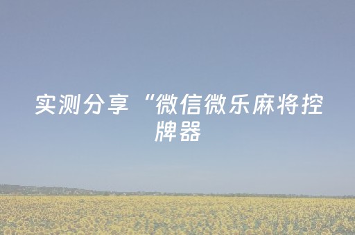 实测分享“微信微乐麻将控牌器（专用辅牌神器免安装）