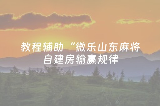 教程辅助“微乐山东麻将自建房输赢规律（助赢神器通用版）