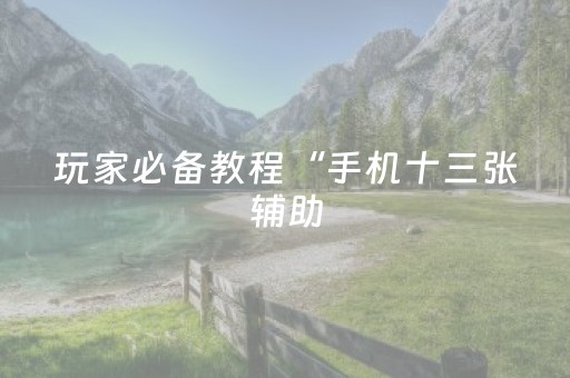 玩家必备教程“手机十三张辅助（助赢神器通用版）