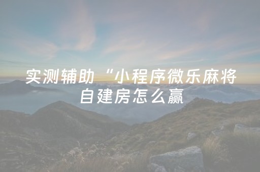 实测辅助“小程序微乐麻将自建房怎么赢（助赢神器通用版）