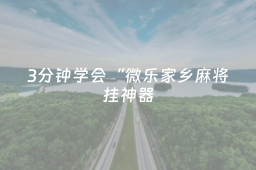 3分钟学会“微乐家乡麻将挂神器（助赢神器通用版）
