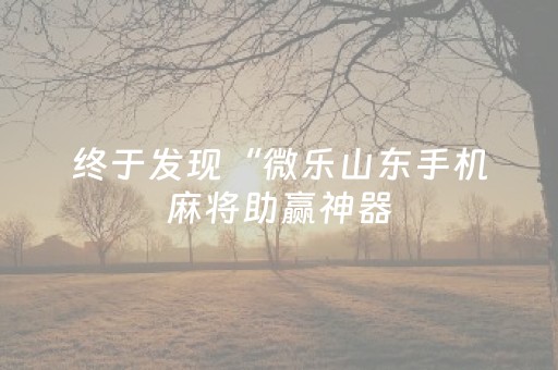 终于发现“微乐山东手机麻将助赢神器（助赢神器通用版）