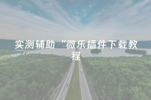 实测辅助“微乐插件下载教程（助赢神器通用版）