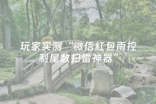 玩家实测“微信红包雨控制尾数扫雷神器”（详细透视教程）-哔哩哔哩