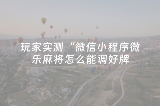 玩家实测“微信小程序微乐麻将怎么能调好牌（助赢神器通用版）