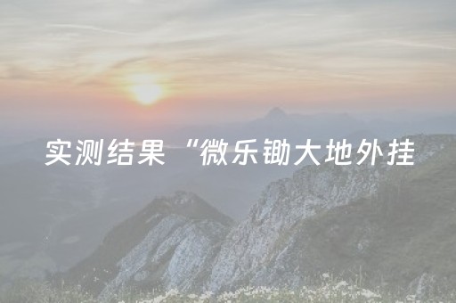 实测结果“微乐锄大地外挂（专用辅牌神器免安装）