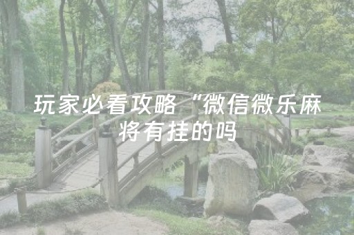 玩家必看攻略“微信微乐麻将有挂的吗（助赢神器通用版）