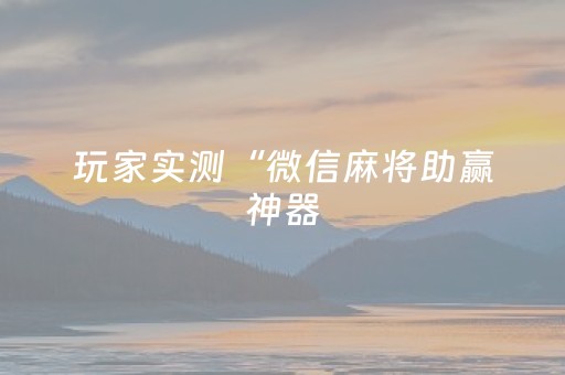 玩家实测“微信麻将助赢神器（专用辅牌神器免安装）