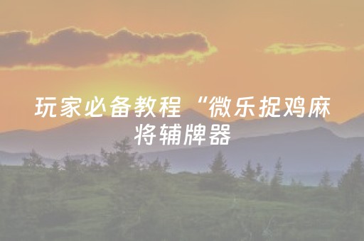 玩家必备教程“微乐捉鸡麻将辅牌器（助赢神器通用版）