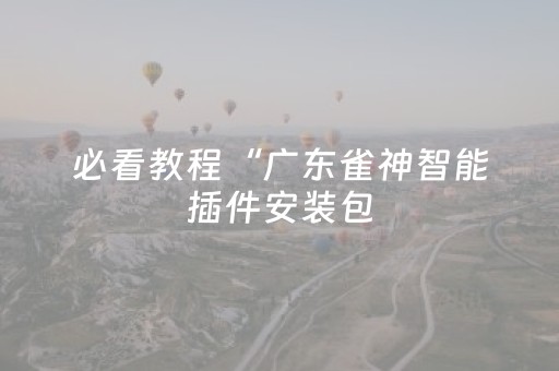 必看教程“广东雀神智能插件安装包（助赢神器通用版）
