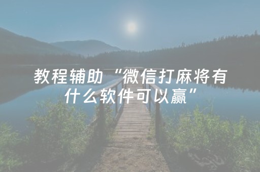 教程辅助“微信打麻将有什么软件可以赢”（详细透视教程）-哔哩哔哩