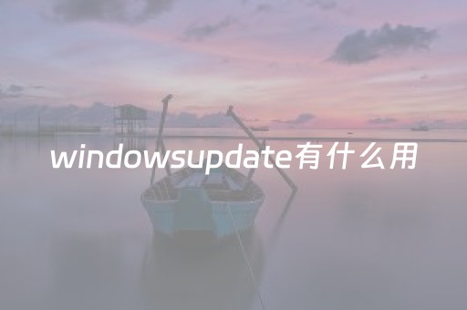 windowsupdate有什么用（windowupdate在哪）