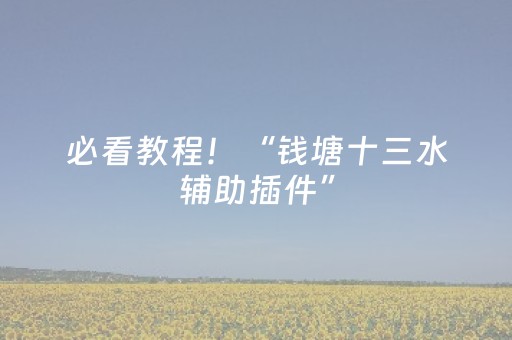 必看教程！“钱塘十三水辅助插件”（详细辅助教程）-哔哩哔哩