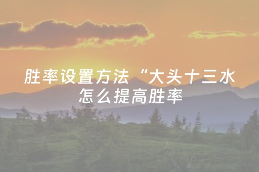 胜率设置方法“大头十三水怎么提高胜率（专用辅牌神器免安装）