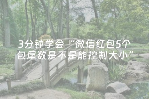 3分钟学会“微信红包5个包尾数是不是能控制大小”（详细透视教程）-哔哩哔哩