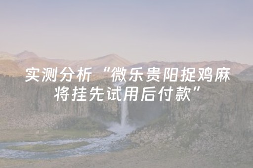 实测分析“微乐贵阳捉鸡麻将挂先试用后付款”（详细辅助教程）-哔哩哔哩