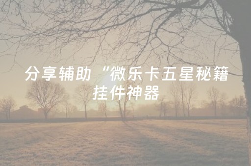 分享辅助“微乐卡五星秘籍挂件神器（助赢神器通用版）
