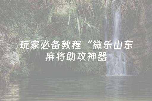 玩家必备教程“微乐山东麻将助攻神器（助赢神器通用版）