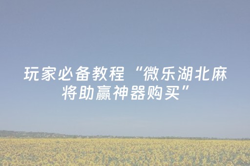 玩家必备教程“微乐湖北麻将助赢神器购买”（详细透视教程）-哔哩哔哩