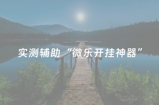 实测辅助“微乐开挂神器”（详细透视教程）-哔哩哔哩