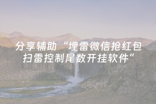 分享辅助“埋雷微信抢红包扫雷控制尾数开挂软件”（详细透视教程）-哔哩哔哩