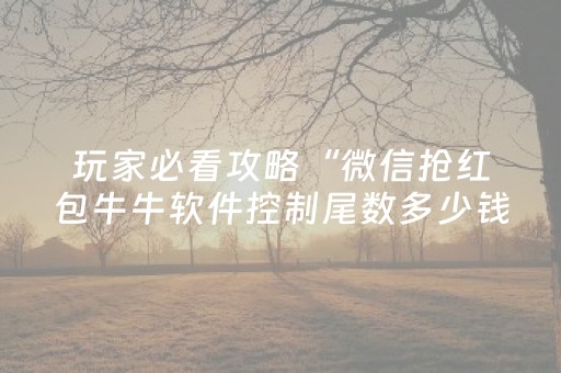 玩家必看攻略“微信抢红包牛牛软件控制尾数多少钱”（详细透视教程）-哔哩哔哩