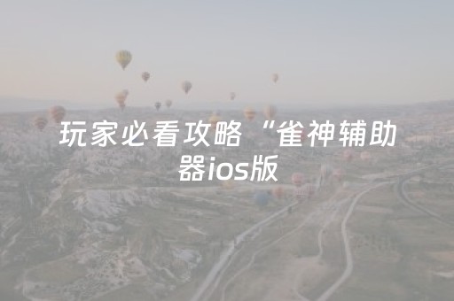玩家必看攻略“雀神辅助器ios版（专用辅牌神器免安装）