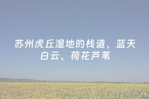 3分钟学会“中至小程序辅助器真的假的”（详细透视教程）-哔哩哔哩