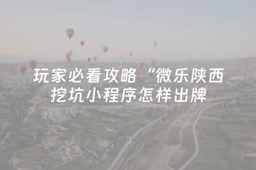 玩家必看攻略“微乐陕西挖坑小程序怎样出牌（专用辅牌神器免安装）