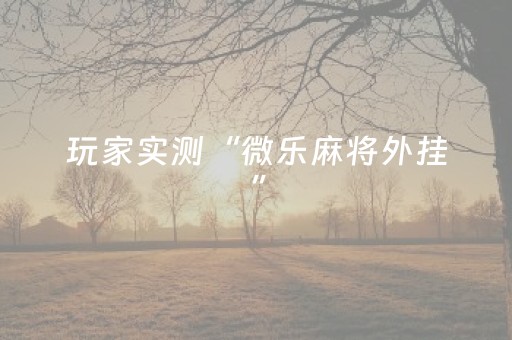 三亚景点介绍（三亚景点介绍作文）
