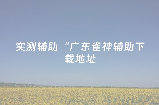 实测辅助“广东雀神辅助下载地址（专用辅牌神器免安装）