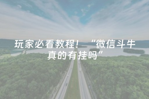 玩家必看教程！“微信斗牛真的有挂吗”（详细开挂教程）-哔哩哔哩