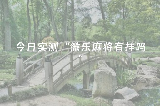今日实测“微乐麻将有挂吗”（详细辅助教程）-哔哩哔哩