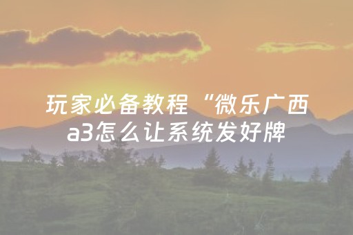 玩家必备教程“微乐广西a3怎么让系统发好牌（专用辅牌神器免安装）