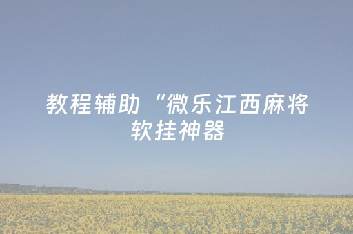 3分钟学会“手机金花透明辅助插件”（详细透视教程）-哔哩哔哩