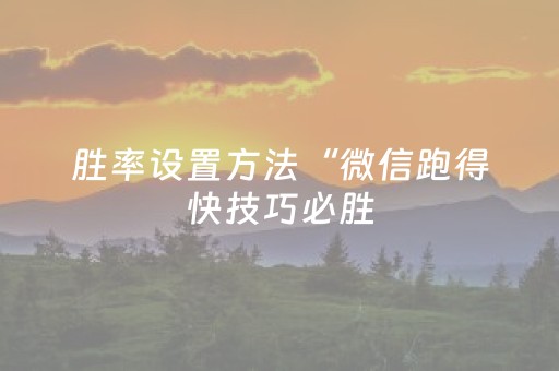 必看教程！“微乐陕西麻将铺牌器”（详细开挂教程）-哔哩哔哩