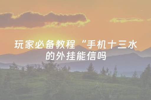 玩家必备教程“手机十三水的外挂能信吗（专用辅牌神器免安装）