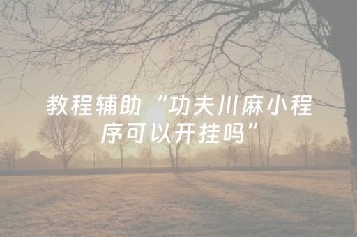 教程辅助“功夫川麻小程序可以开挂吗”（详细透视教程）-哔哩哔哩