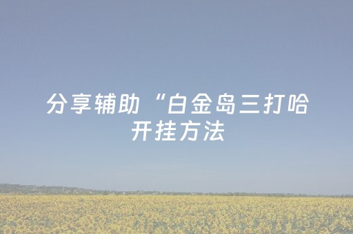 分享辅助“白金岛三打哈开挂方法（助赢神器通用版）