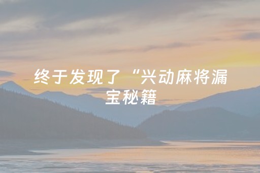 终于发现了“兴动麻将漏宝秘籍（专用辅牌神器免安装）