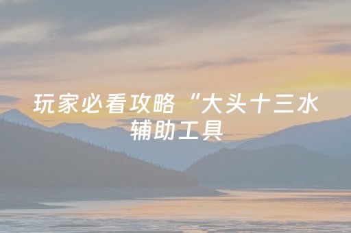 玩家必看攻略“大头十三水辅助工具（助赢神器通用版）