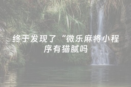 终于发现了“微乐麻将小程序有猫腻吗（助赢神器通用版）