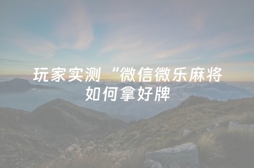 玩家实测“微信微乐麻将如何拿好牌（助赢神器通用版）