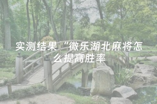 实测结果“微乐湖北麻将怎么提高胜率（助赢神器通用版）